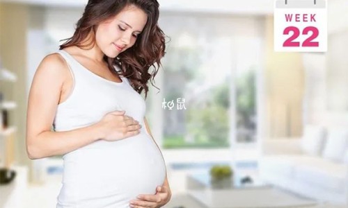 六个月的孕妇可以坐飞机-6个月孕妇怎么坐飞机网 - 网站提供6个月孕妇可以坐飞机吗小常识、6个月孕妇怎么坐飞机最安全